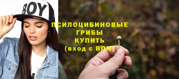 сатива Бугульма