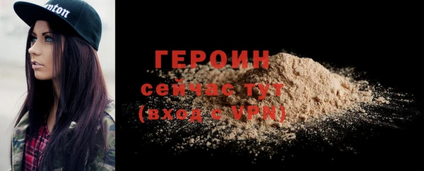 стаф Дмитров