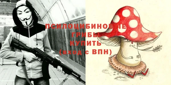 ГАЛЛЮЦИНОГЕННЫЕ ГРИБЫ Бородино