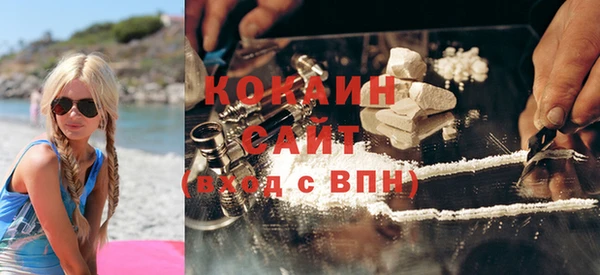 кокс Дмитриев