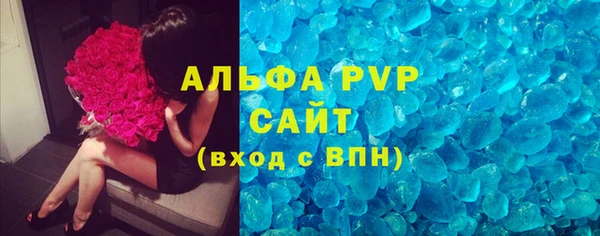 ГАЛЛЮЦИНОГЕННЫЕ ГРИБЫ Бородино