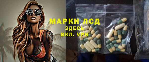 ГАЛЛЮЦИНОГЕННЫЕ ГРИБЫ Бородино