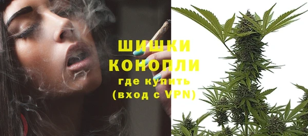 сатива Бугульма